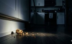 Evde Fare Olduğunu Gösteren 4 Kritik İşaret: O Kokuya Dikkat